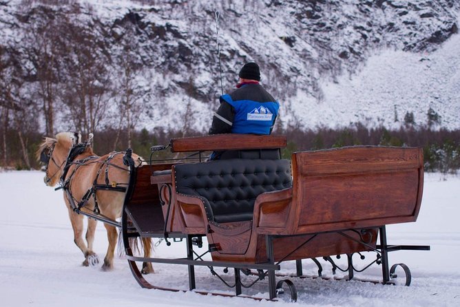 Sleigh or wagon ride in the arctic Country side - Key points to know before booking