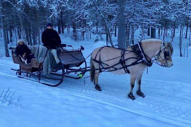 Sleigh or wagon ride in the arctic Country side - Meeting the horse and getting ready for the cold