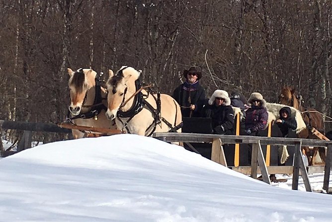 Sleigh Ride w/ snacks - Experience Arctic Farm Life - The sleigh ride through fields and woodland