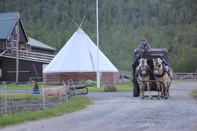 Sleigh Ride w/ snacks - Experience Arctic Farm Life - Meeting the sheep and the other animals