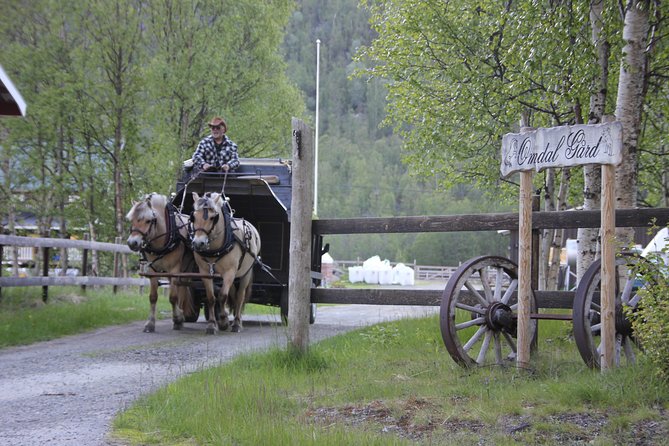 Sleigh Ride w/ snacks - Experience Arctic Farm Life - Why the private format matters