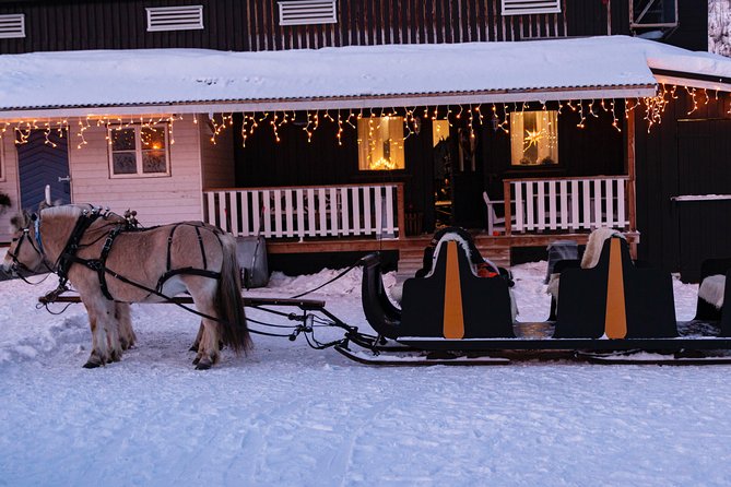 Sleigh Ride w/ Tapas Meal - Experience Arctic Farm Life - Leaving Alta for a working family farm