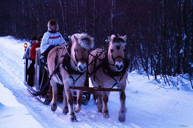 Sleigh Ride w/ Tapas Meal - Experience Arctic Farm Life - Inside the Sami lavvo, the meal becomes the main event