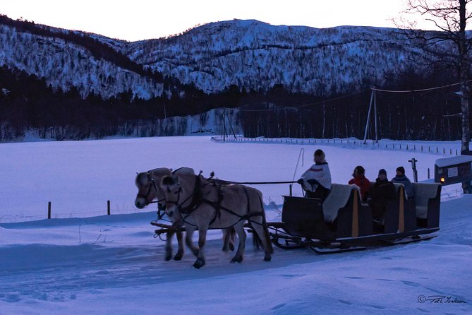 Sleigh Ride w/ Tapas Meal - Experience Arctic Farm Life - Is $236.79 a fair price?