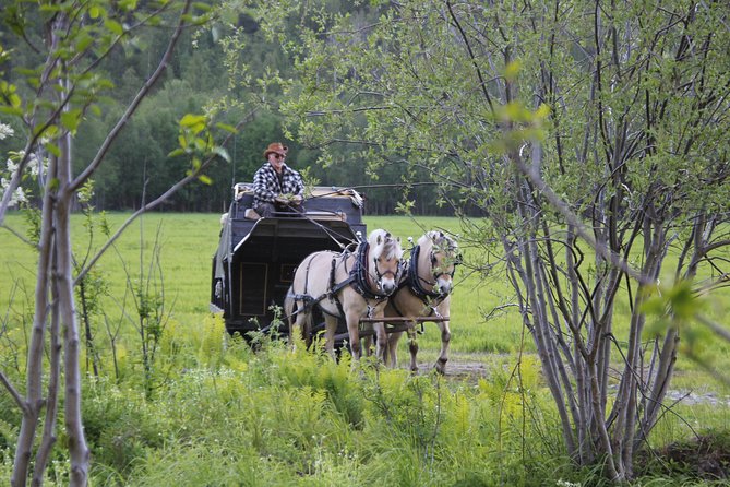 Sleigh Ride w/ Tapas Meal - Experience Arctic Farm Life - When this experience works best