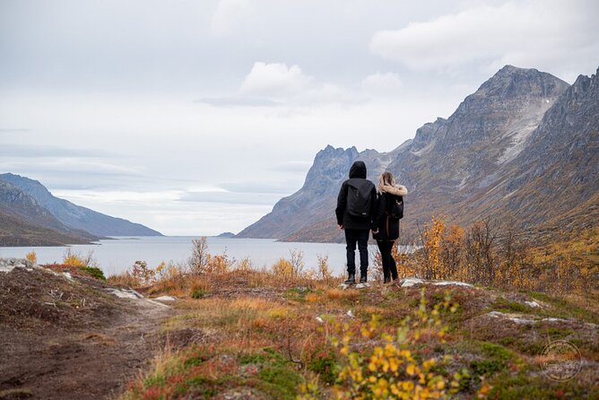 Small Group Arctic Fjords Road trip with Scenic Picnic - Why Kvaløya makes a strong half-day outing