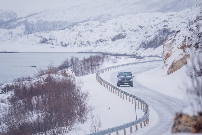 Small Group Arctic Fjords Road trip with Scenic Picnic - Why a group of eight changes the day