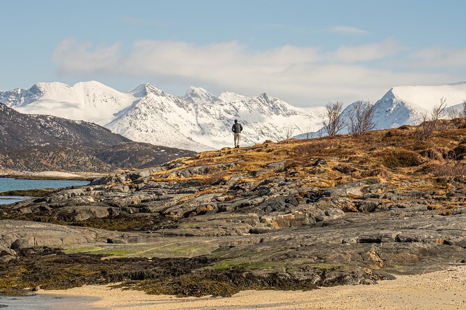 Small Group Arctic Fjords Road trip with Scenic Picnic - Wildlife watching requires realistic expectations