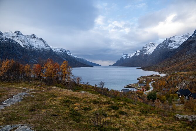 Small Group Arctic Fjords Road trip with Scenic Picnic - Photos add useful value to the $161.84 price