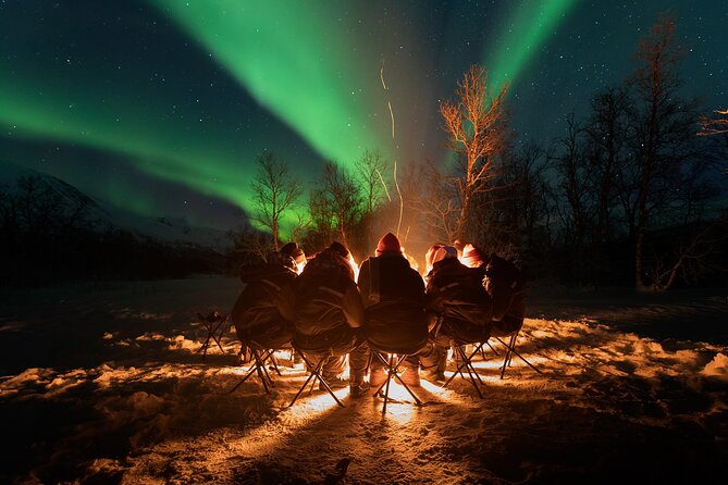 Small-Group Northern Lights Tour from Tromso with Photos - Why this Tromsø Aurora tour is worth considering