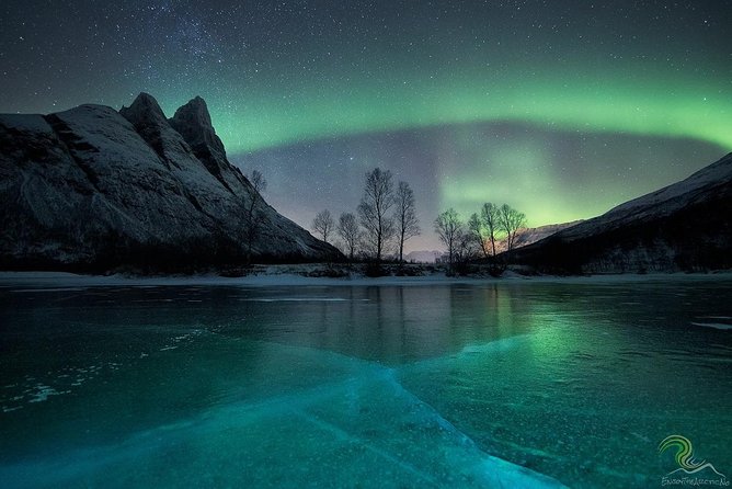 Small-Group Northern Lights Tour from Tromso with Photos - The guide makes or breaks the night