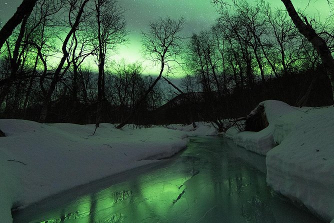 Small-Group Northern Lights Tour from Tromso with Photos - A small minibus with a flexible route