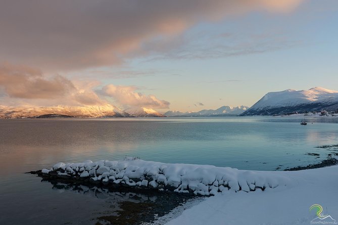 Small-Group Norwegian Fjords Tour from Tromso with Photos - Why this Tromsø fjord tour works so well by road