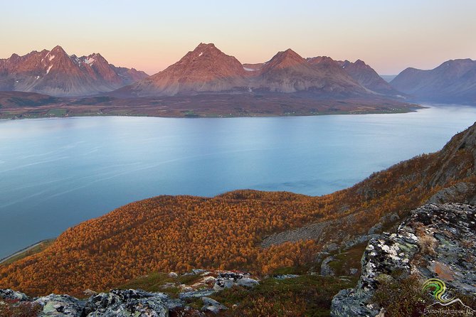 Small-Group Norwegian Fjords Tour from Tromso with Photos - The first views: fjords, beaches, and troll-like mountains