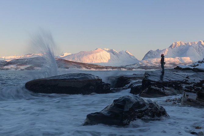 Small-Group Norwegian Fjords Tour from Tromso with Photos - Reindeer, blueberries, and the living Arctic