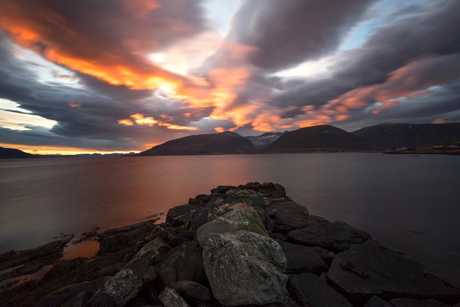 Small-Group Norwegian Fjords Tour from Tromso with Photos - Hot drinks, cake, and a warm break outdoors