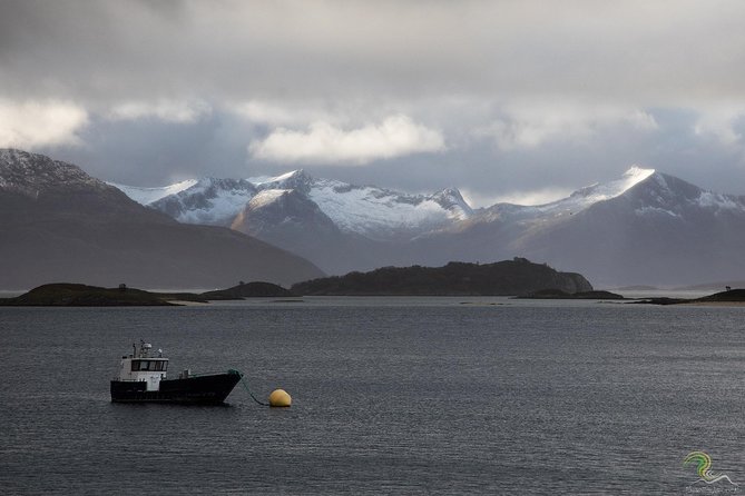 Small-Group Norwegian Fjords Tour from Tromso with Photos - Starting at Magic Ice Bar Tromsø at 10 a.m.