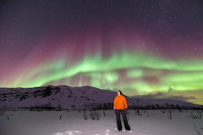Small Group Tromsø: Northern Lights Chase with Photos and Dinner - Dinner, snacks, and staying warm