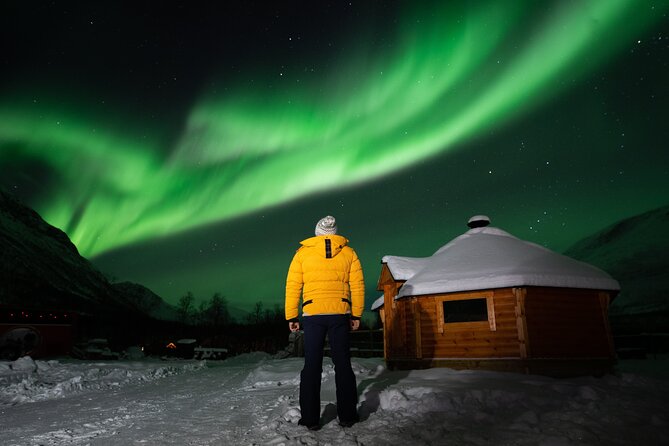 Small Group Tromsø: Northern Lights Chase with Photos and Dinner - Is the $237.32 price fair?