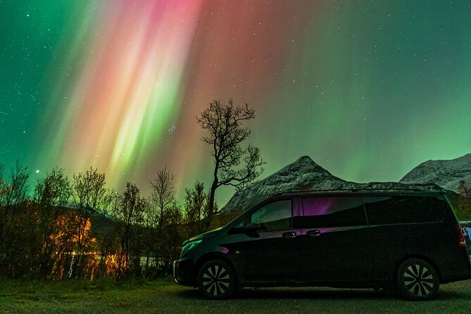Small Group Van Journey in Search of the Northern Lights - What makes this Tromso aurora tour worth considering