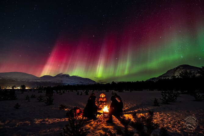 Small Group Van Journey in Search of the Northern Lights - Why a group of eight matters after dark