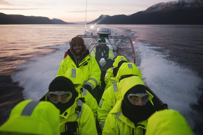 Small Group Whale Watching by RIB - Why this Alta whale safari is worth considering