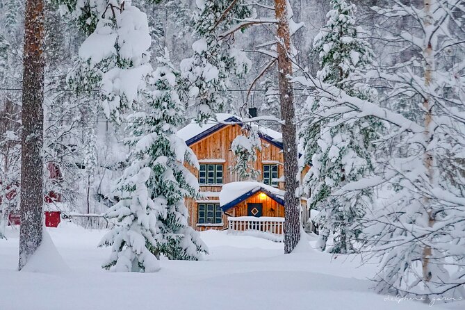 Small Group Wilderness Husky Sledding 2h from Tromsø (car needed) - Two hours through quiet northern forest