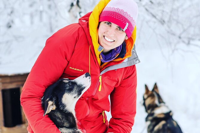 Small Group Wilderness Husky Sledding 2h from Tromsø (car needed) - What the $406.56 price buys you