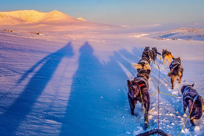 Small Group Wilderness Husky Sledding 2h from Tromsø (car needed) - Learning to drive a two-person sled