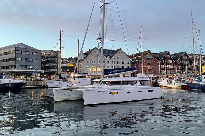 Snorkeling with Orcas In Norway, 4 days All-Inclusive expedition - Life aboard the catamaran