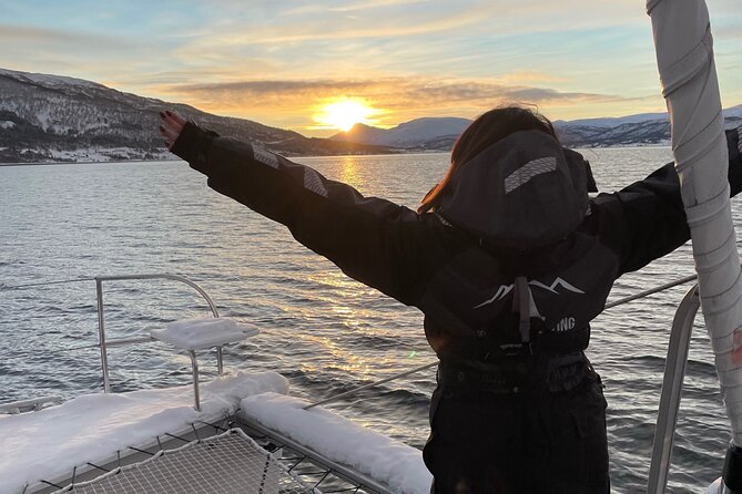 Snorkeling with Orcas In Norway, 4 days All-Inclusive expedition - Safety comes before the photograph