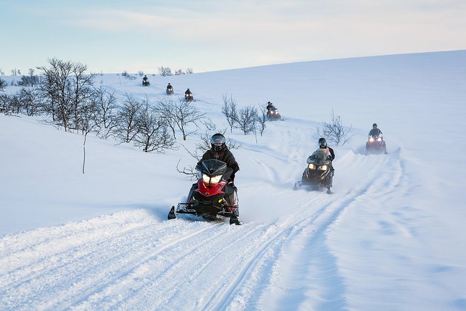 Snowmobile safari in the mountain plateau of Finnmarksvidda - Key points to know before booking