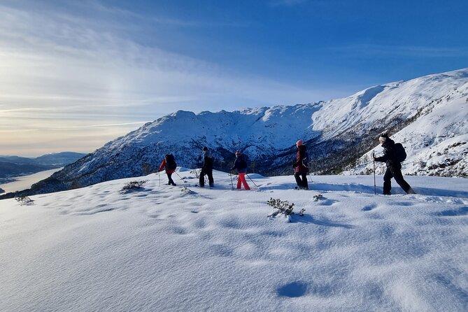 Snowshoe hiking in Bergen - Public tour - Key points at a glance
