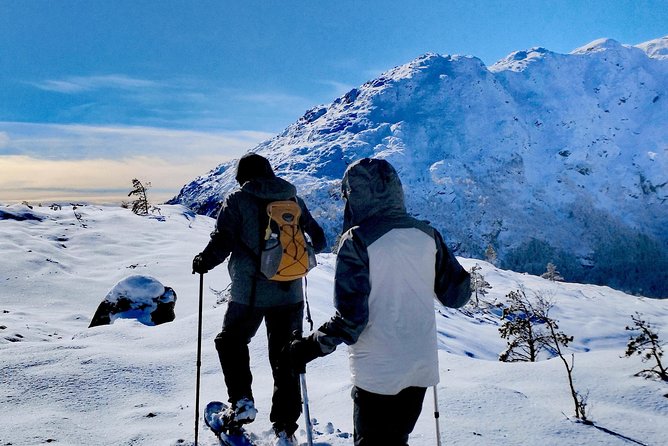 Snowshoe hiking in Bergen - Public tour - Why the small group matters