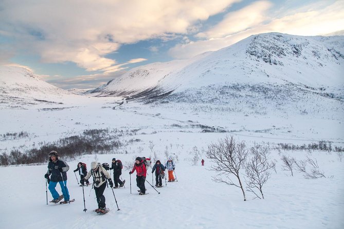Snowshoe Hill Hike in Tromsø - Key points to know before you book