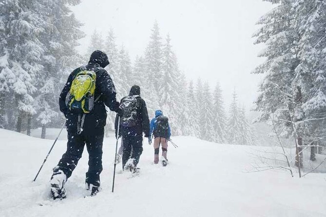 Snowshoe Tour in Winter Wonderland - Oslo - Key points to know before booking