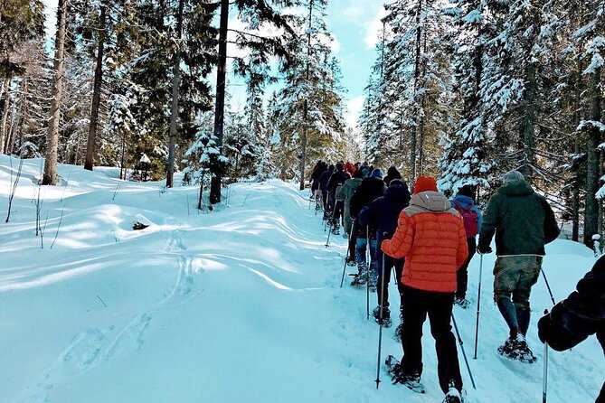 Snowshoe Tour in Winter Wonderland - Oslo - Weather, snow, and the possibility of a forest hike