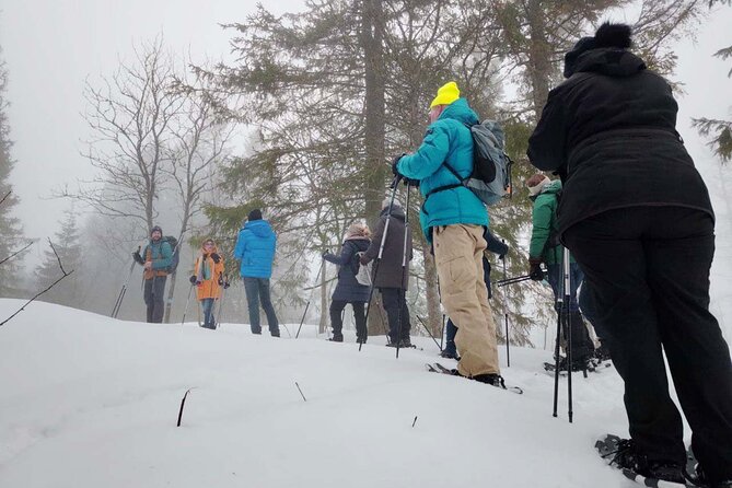 Snowshoe Tour in Winter Wonderland - Oslo - Warm drinks and the small comforts that matter
