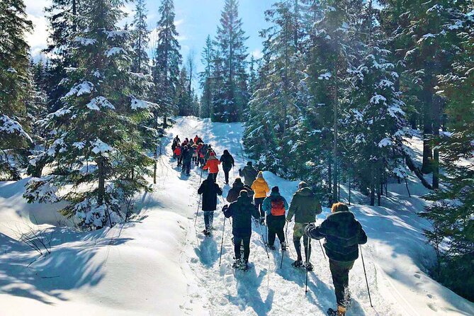 Snowshoe Tour in Winter Wonderland - Oslo - How difficult is snowshoeing for a beginner?