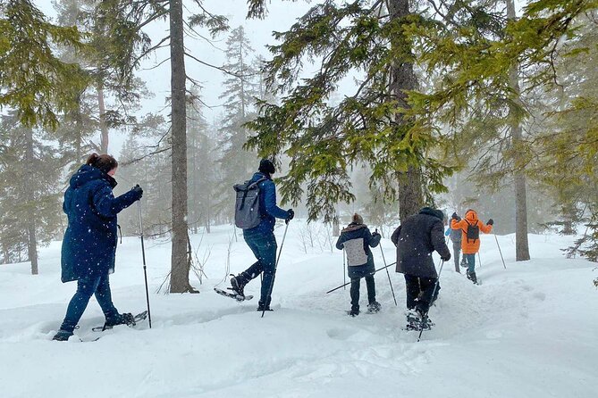 Snowshoe Tour in Winter Wonderland - Oslo - A small group with room for questions