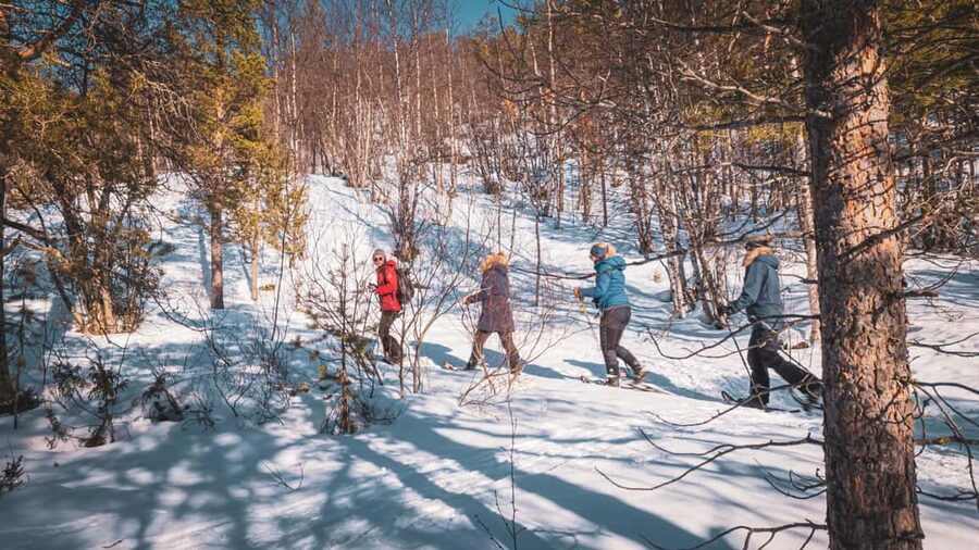 Snowshoeing Adventure to the Enchanting Frozen Waterfall - Walking through the Gargia Valley