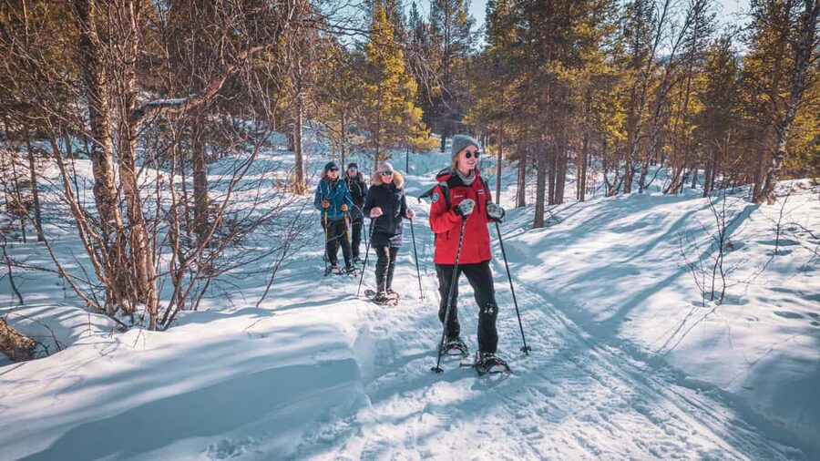 Snowshoeing Adventure to the Enchanting Frozen Waterfall - The final approach to the frozen waterfall