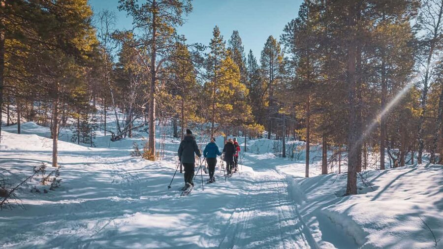 Snowshoeing Adventure to the Enchanting Frozen Waterfall - What is included for $187?
