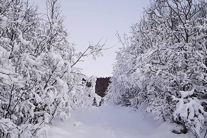 Snowshoeing With A View - Key points at a glance