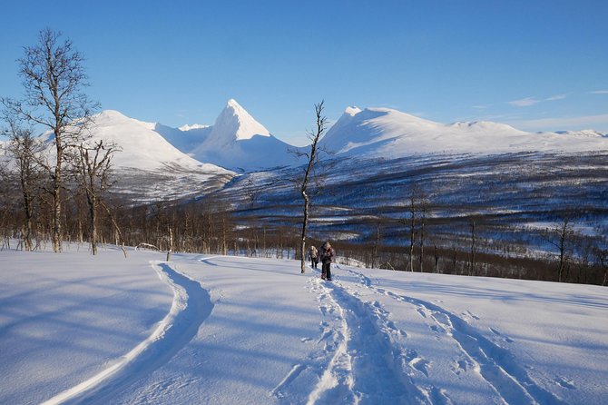 Snowshoeing With A View - Coming back down through the powder