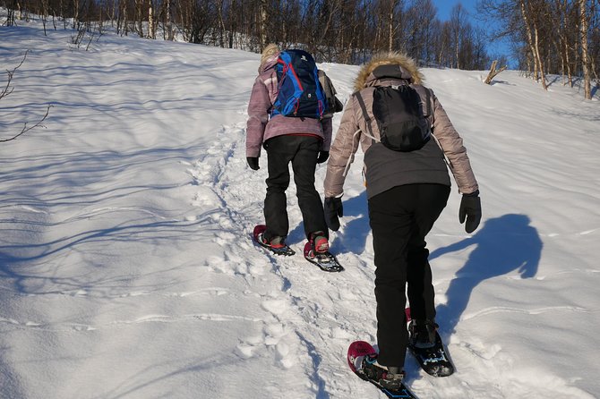 Snowshoeing With A View - Karin’s guiding style and group size