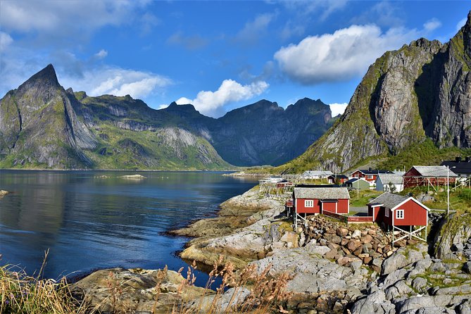 South Lofoten Highlights Photo Tour (Summer) - Key points to know before booking