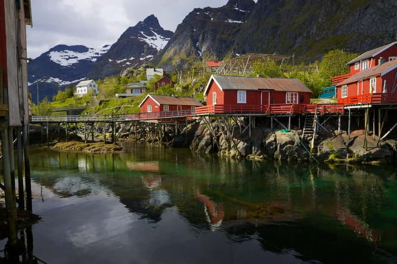 Special Summer Cruise Guided Tour of Lofoten - Key points to know before you book