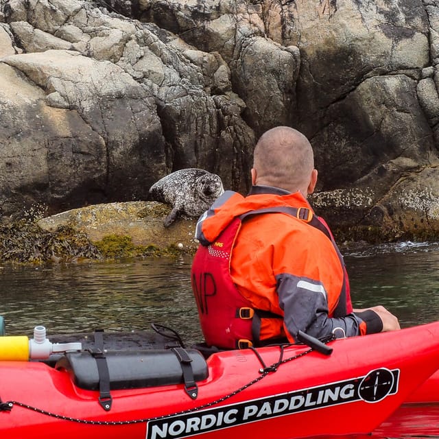 Stavanger: Lysefjord Kayak Safari (Waterfalls & Pulpit Rock) - Waterfalls, gorges, and Vagabond’s Cave