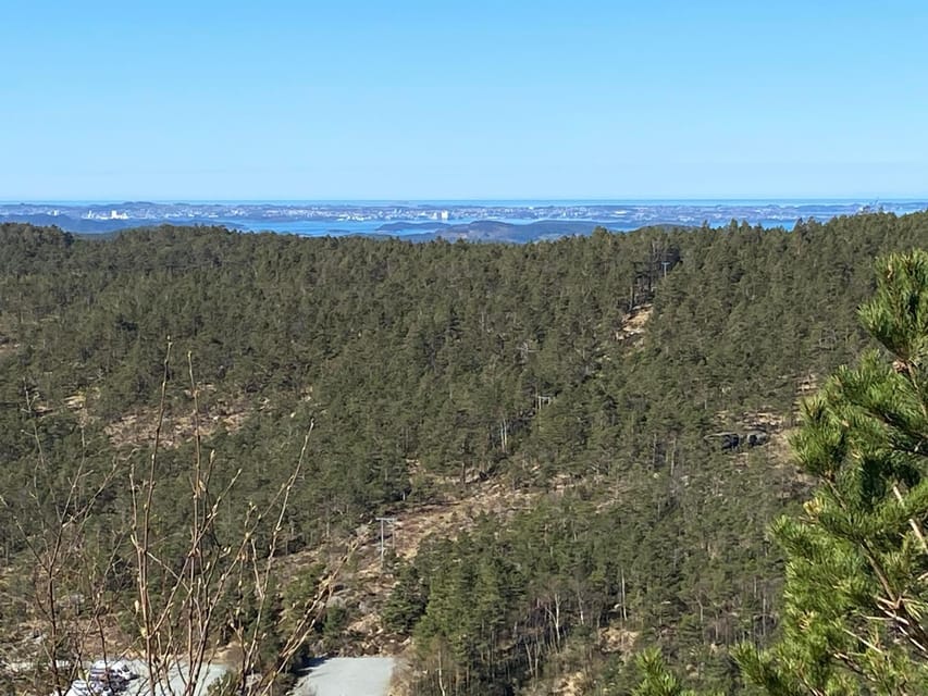 Stavanger: Preikestolen Tour with Guide and Pickup - Who should choose this Preikestolen trip?